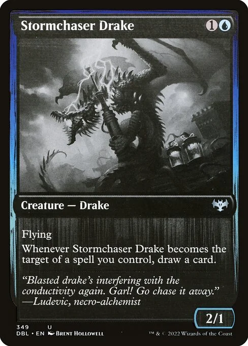 Stormchaser Drake, carta Magic di tipo Creature — Drake illustrata da Brent Hollowell