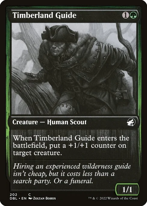 Timberland Guide, carta Magic di tipo Creature — Human Scout illustrata da Zoltan Boros