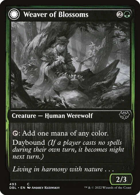 Weaver of Blossoms // Blossom-Clad Werewolf, carta Magic di tipo Creature — Human Werewolf // Creature — Werewolf illustrata da Andrey Kuzinskiy