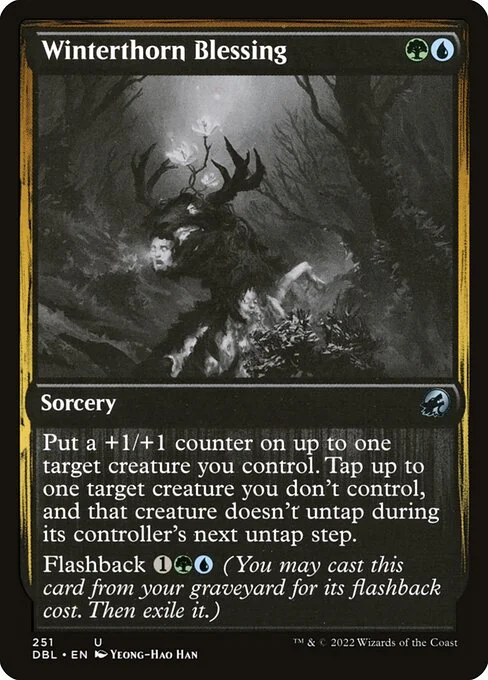 Winterthorn Blessing, carta Magic di tipo Sorcery illustrata da Yeong-Hao Han