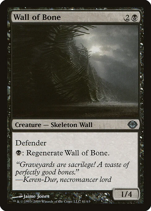 Wall of Bone, carta Magic di tipo Creature — Skeleton Wall illustrata da Jaime Jones