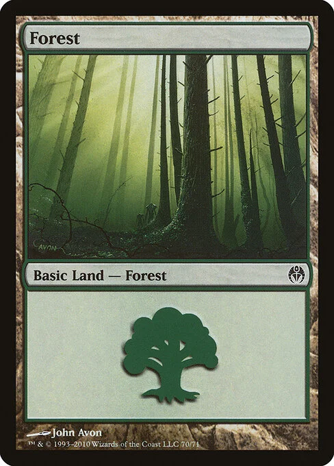 Forest, carta Magic di tipo Basic Land — Forest illustrata da John Avon