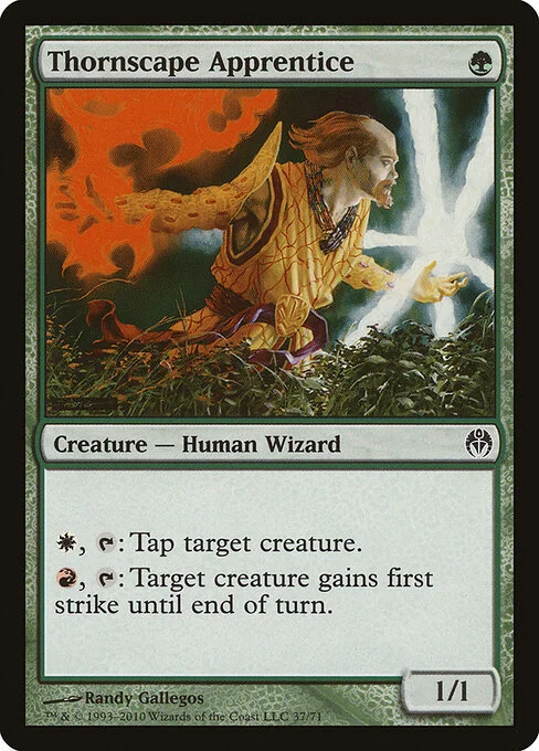 Thornscape Apprentice, carta Magic di tipo Creature — Human Wizard illustrata da Randy Gallegos
