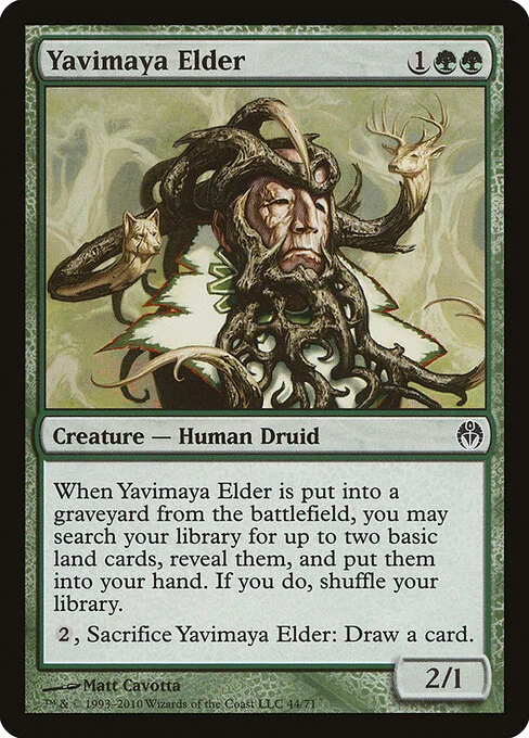 Yavimaya Elder, carta Magic di tipo Creature — Human Druid illustrata da Matt Cavotta