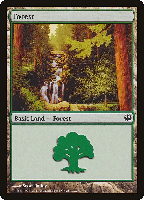Forest, carta Magic di tipo Basic Land — Forest illustrata da Scott Bailey