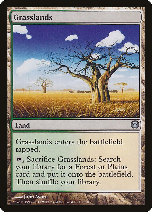 Grasslands, carta Magic di tipo Land illustrata da John Avon