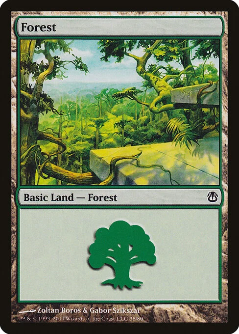Forest, carta Magic di tipo Basic Land — Forest illustrata da Zoltan Boros & Gabor Szikszai