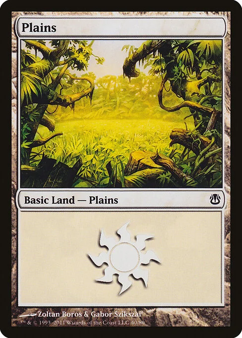 Plains, carta Magic di tipo Basic Land — Plains illustrata da Zoltan Boros & Gabor Szikszai