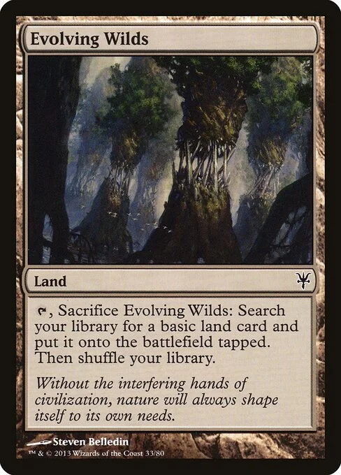 Evolving Wilds, carta Magic di tipo Land illustrata da Steven Belledin