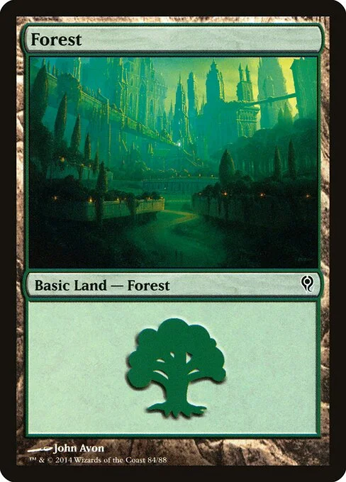Forest, carta Magic di tipo Basic Land — Forest illustrata da John Avon