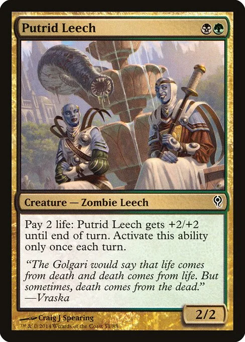 Putrid Leech, carta Magic di tipo Creature — Zombie Leech illustrata da Craig J Spearing