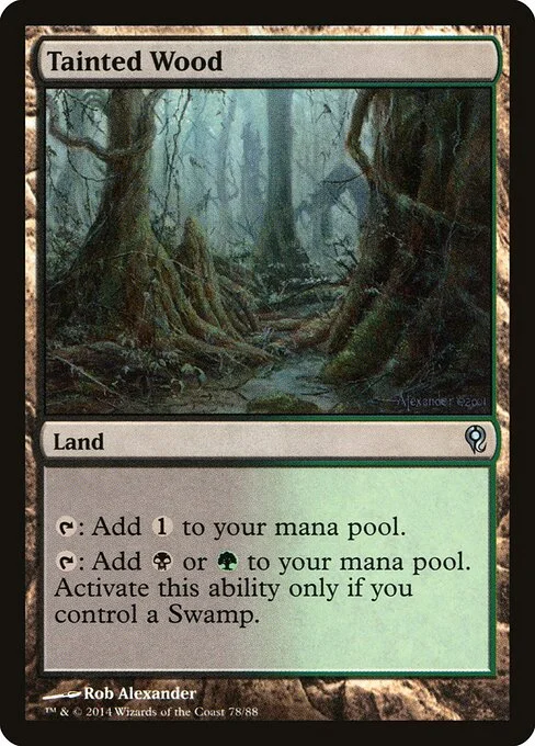 Tainted Wood, carta Magic di tipo Land illustrata da Rob Alexander