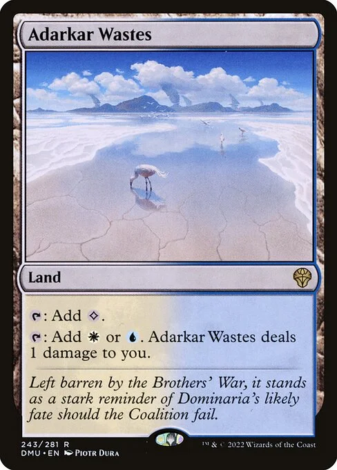 Adarkar Wastes, carta Magic di tipo Land illustrata da Piotr Dura