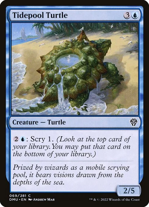 Tidepool Turtle, carta Magic di tipo Creature — Turtle illustrata da Andrew Mar