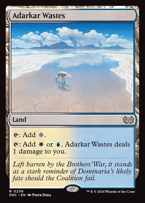 Adarkar Wastes, carta Magic di tipo Land illustrata da Piotr Dura