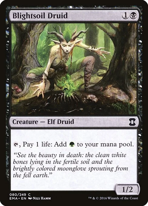 Blightsoil Druid, carta Magic di tipo Creature — Elf Druid illustrata da Nils Hamm