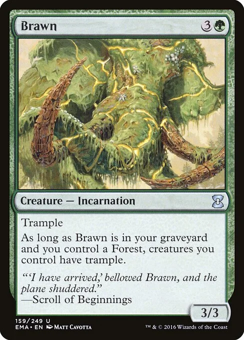 Brawn, carta Magic di tipo Creature — Incarnation illustrata da Matt Cavotta