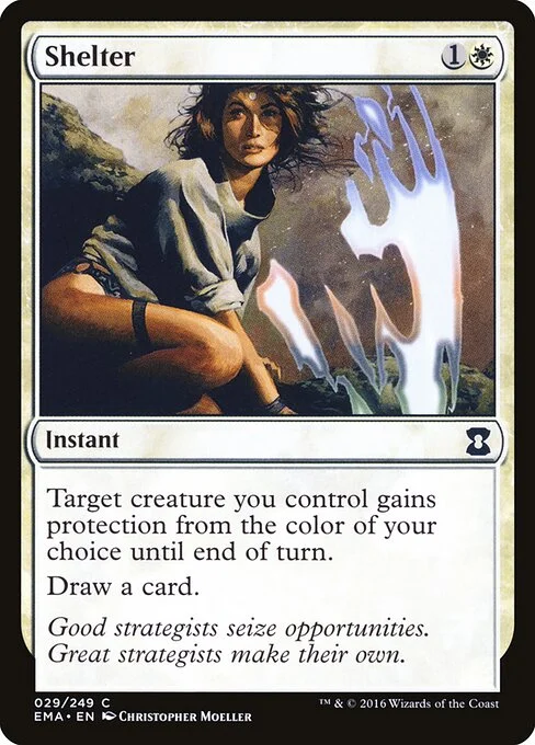 Shelter, carta Magic di tipo Instant illustrata da Christopher Moeller