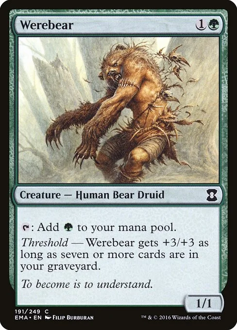 Werebear, carta Magic di tipo Creature — Human Bear Druid illustrata da Filip Burburan