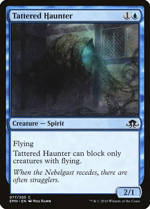Tattered Haunter, carta Magic di tipo Creature — Spirit illustrata da Nils Hamm
