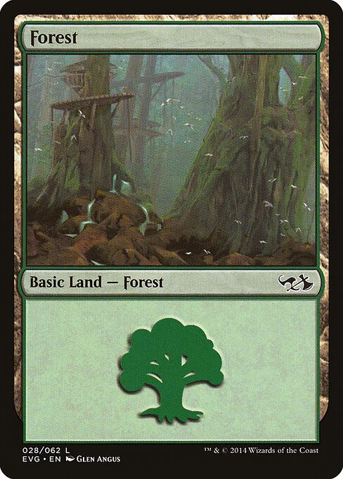Forest, carta Magic di tipo Basic Land — Forest illustrata da Glen Angus