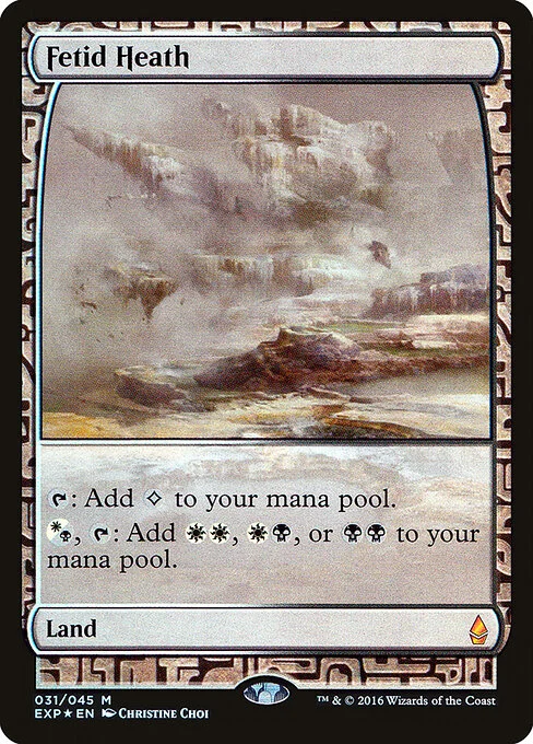 Fetid Heath, carta Magic di tipo Land illustrata da Christine Choi