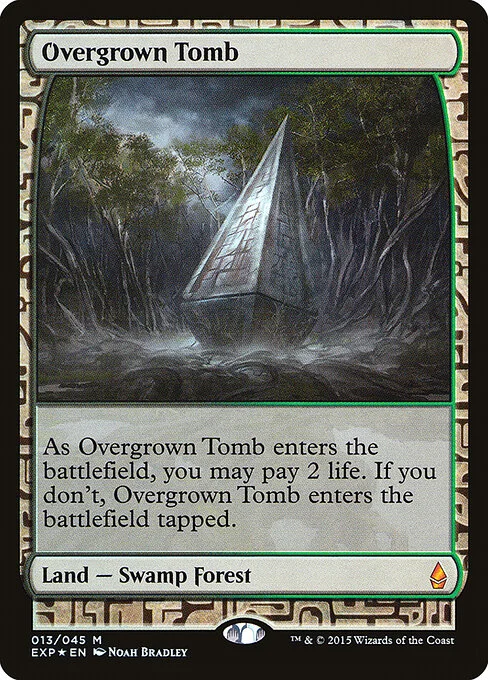 Overgrown Tomb, carta Magic di tipo Land — Swamp Forest illustrata da Noah Bradley
