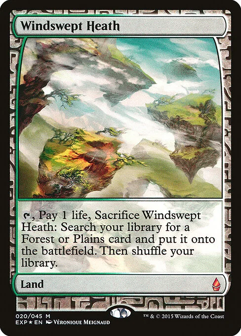 Windswept Heath, carta Magic di tipo Land illustrata da Véronique Meignaud