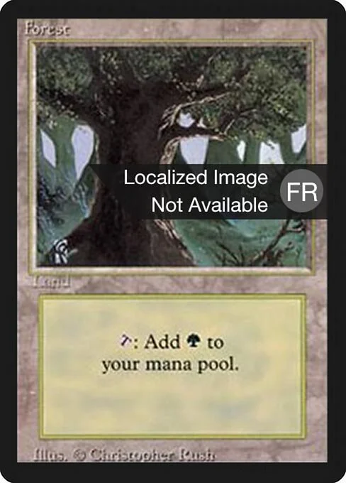 Forest, carta Magic di tipo Basic Land — Forest illustrata da Christopher Rush