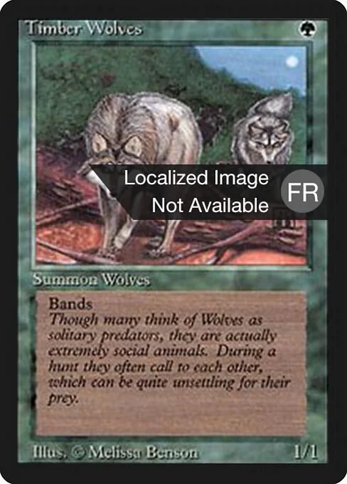 Timber Wolves, carta Magic di tipo Creature — Wolf illustrata da Melissa A. Benson