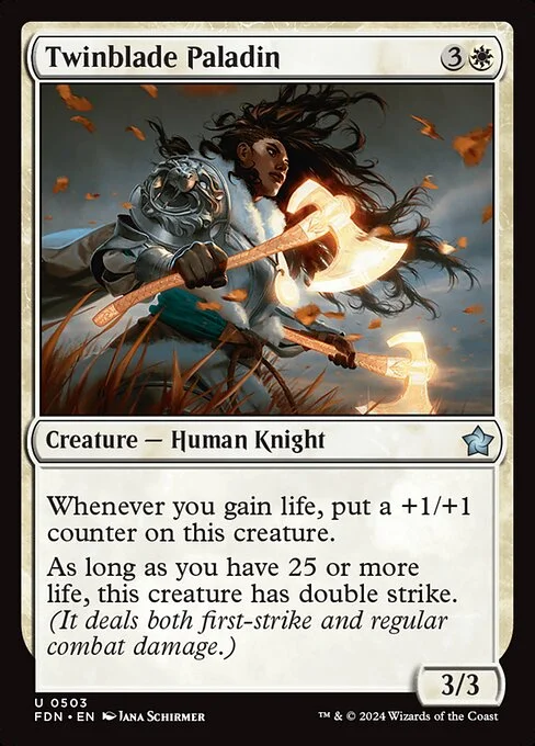 Twinblade Paladin, carta Magic di tipo Creature — Human Knight illustrata da Jana Schirmer