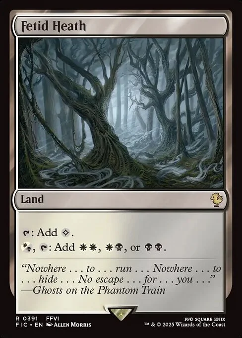 Fetid Heath, carta Magic di tipo Land illustrata da Allen Morris