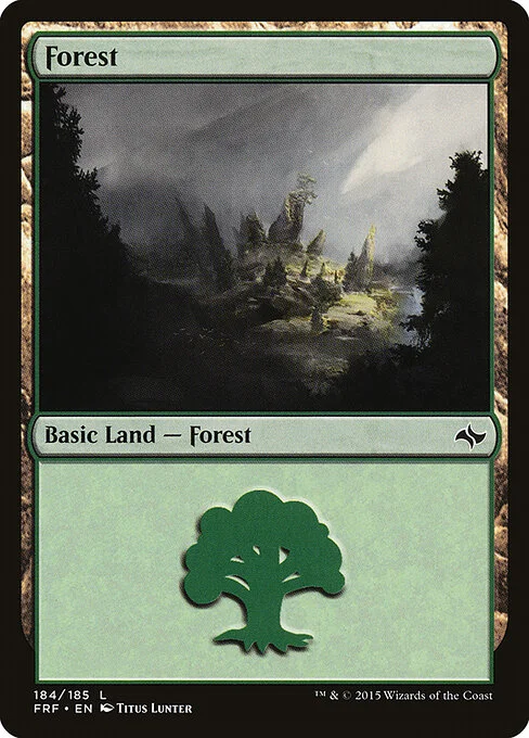 Forest, carta Magic di tipo Basic Land — Forest illustrata da Titus Lunter