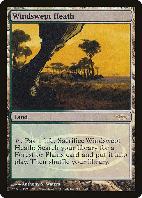 Windswept Heath, carta Magic di tipo Land illustrata da Anthony S. Waters