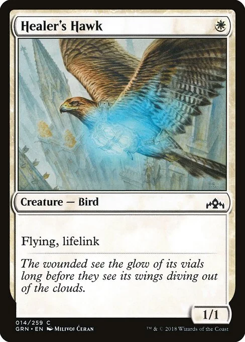 Healer's Hawk, carta Magic di tipo Creature — Bird illustrata da Milivoj Ćeran