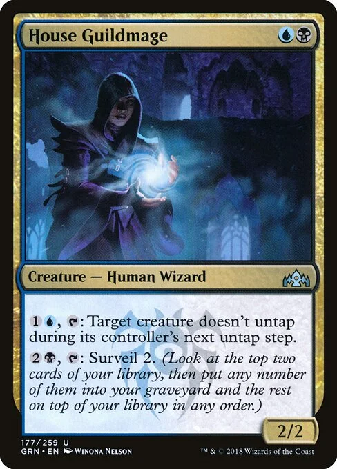 House Guildmage, carta Magic di tipo Creature — Human Wizard illustrata da Winona Nelson