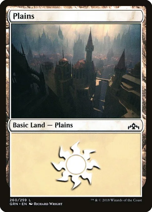 Plains, carta Magic di tipo Basic Land — Plains illustrata da Richard Wright