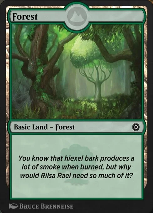 Forest, carta Magic di tipo Basic Land — Forest illustrata da Bruce Brenneise