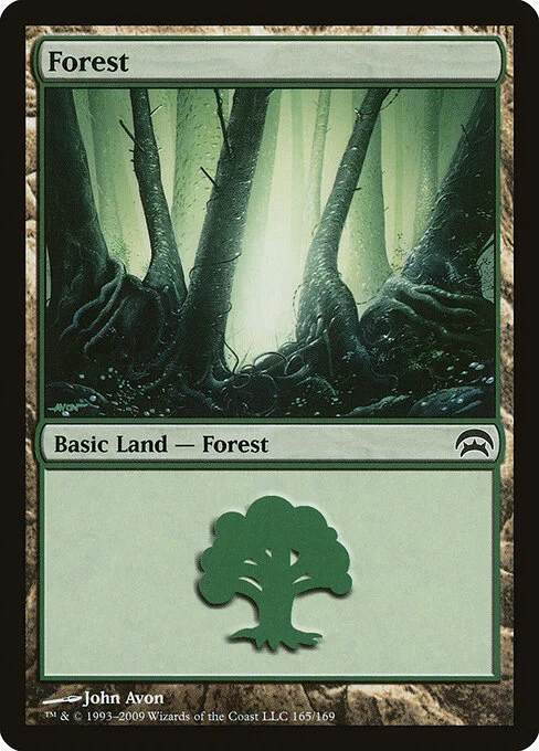 Forest, carta Magic di tipo Basic Land — Forest illustrata da John Avon
