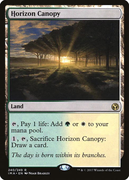Horizon Canopy, carta Magic di tipo Land illustrata da Noah Bradley