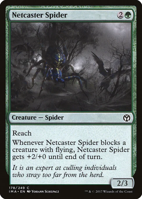 Netcaster Spider, carta Magic di tipo Creature — Spider illustrata da Yohann Schepacz
