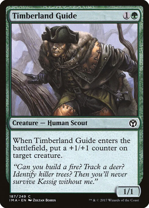 Timberland Guide, carta Magic di tipo Creature — Human Scout illustrata da Zoltan Boros