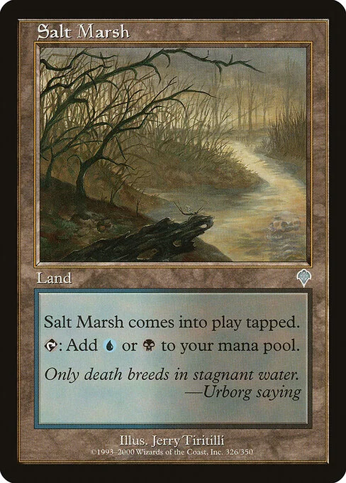 Salt Marsh, carta Magic di tipo Land illustrata da Jerry Tiritilli