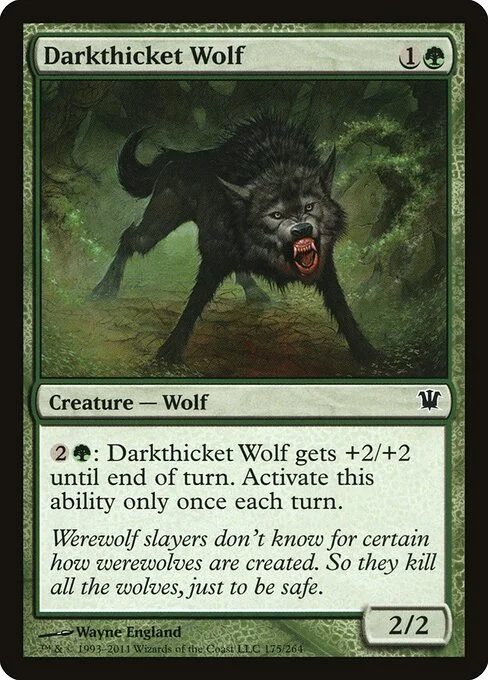 Darkthicket Wolf, carta Magic di tipo Creature — Wolf illustrata da Wayne England