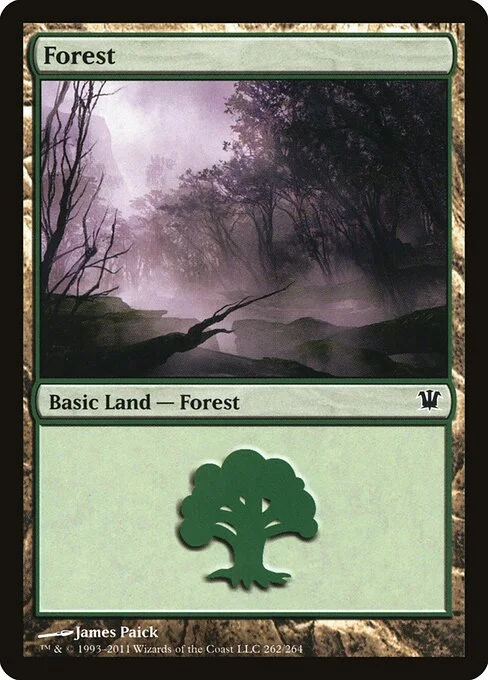 Forest, carta Magic di tipo Basic Land — Forest illustrata da James Paick