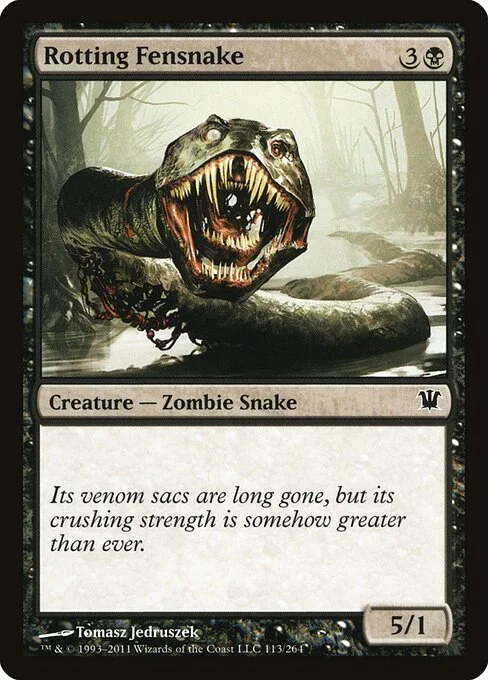 Rotting Fensnake, carta Magic di tipo Creature — Zombie Snake illustrata da Tomasz Jedruszek