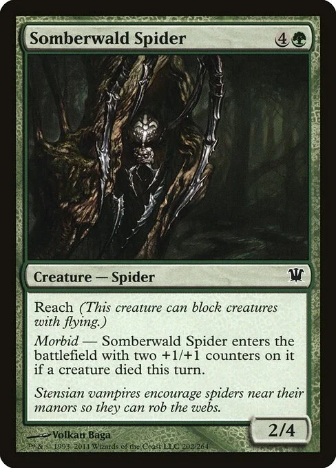 Somberwald Spider, carta Magic di tipo Creature — Spider illustrata da Volkan Baǵa
