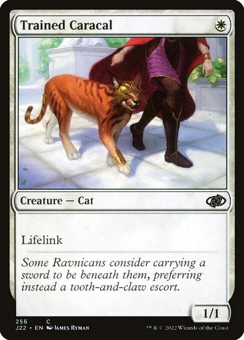 Trained Caracal, carta Magic di tipo Creature — Cat illustrata da James Ryman