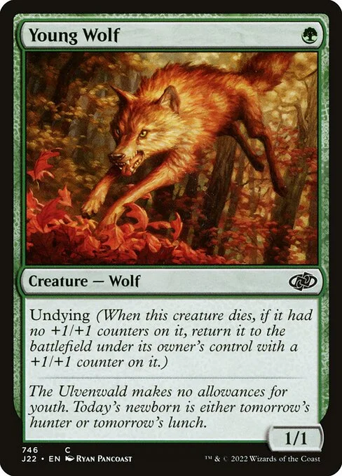 Young Wolf, carta Magic di tipo Creature — Wolf illustrata da Ryan Pancoast
