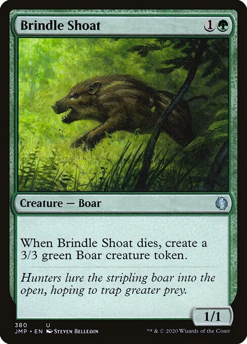 Brindle Shoat, carta Magic di tipo Creature — Boar illustrata da Steven Belledin